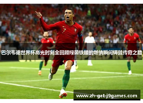 巴尔韦德世界杯高光时刻全回顾绿茵铁腰的燃情瞬间铸就传奇之路